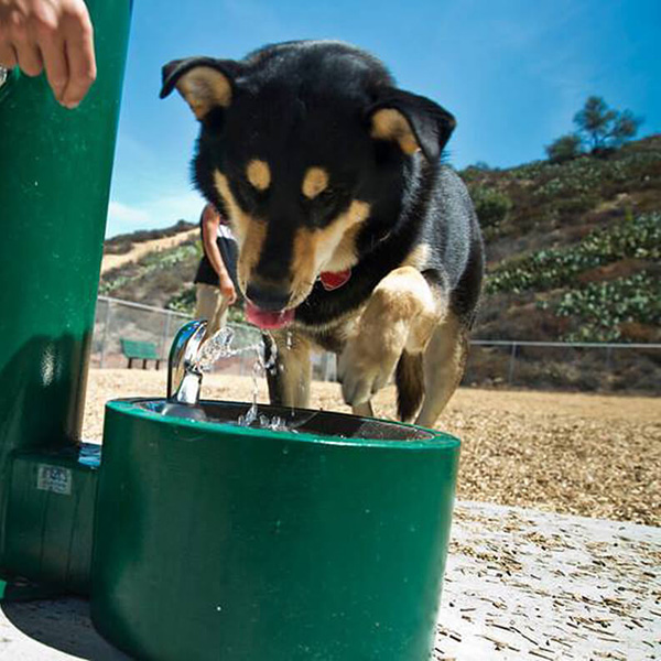 WGRT75-PF Freestanding Pet Fountain